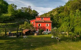Il giaggiolo